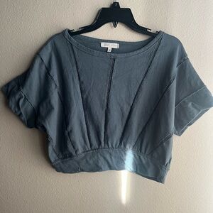 Gilded Intent Slate Gray Crop Top